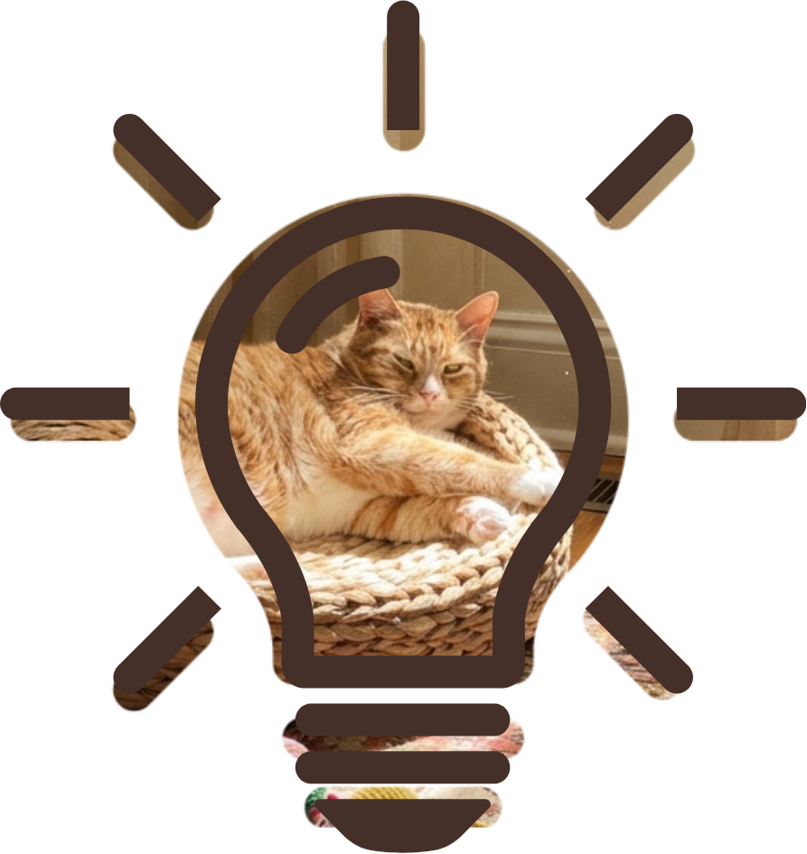 Comfortable Senior Cat Checkup in Cincinnati Senior cat wellness visit for Senior Pet Care at Mariemont Veterinary Clinic in Cincinnati Ohio