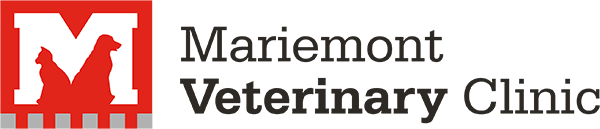 The logo of Mariemont Veterinary Clinic with a silhouette of a cat and dog inside a red "M.