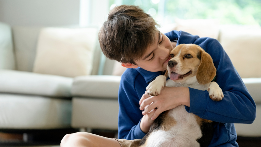 Teen boy hugging a happy Beagle dog in a cozy living room.