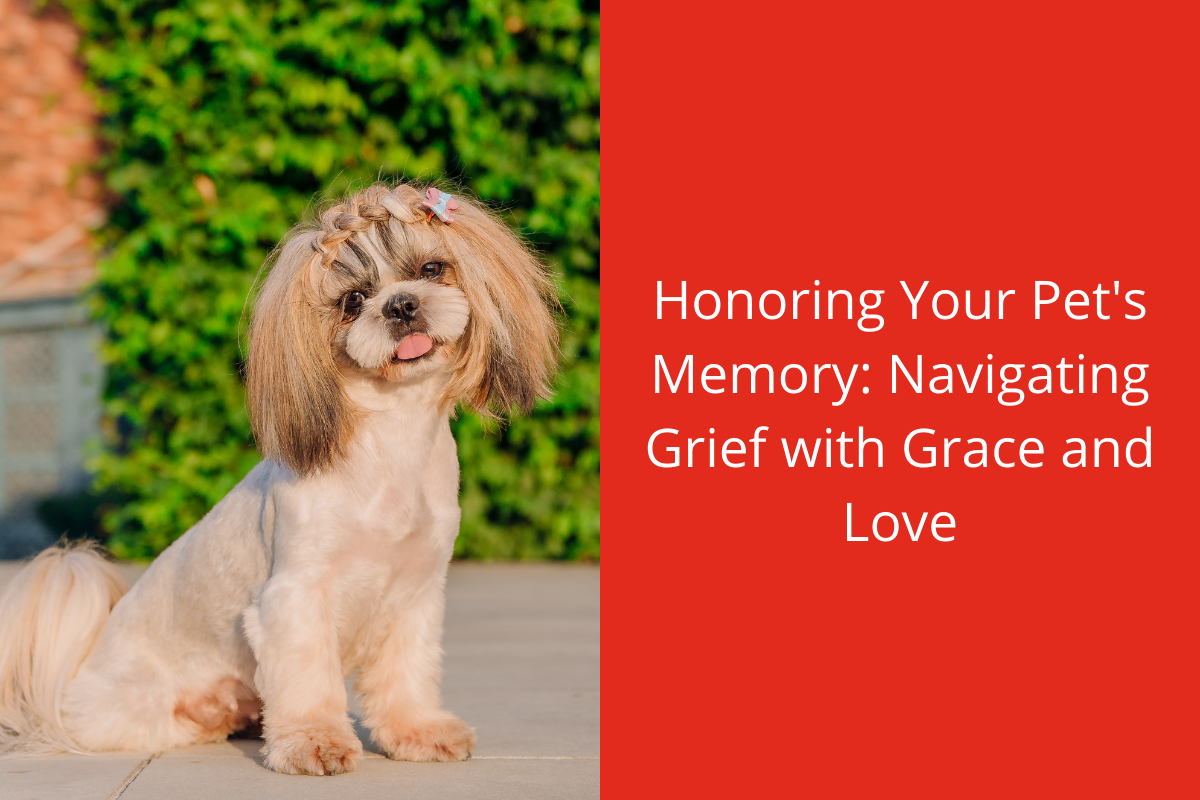 A small dog with long, fluffy ears stands on a patio next to red text about honoring a pet's memory.