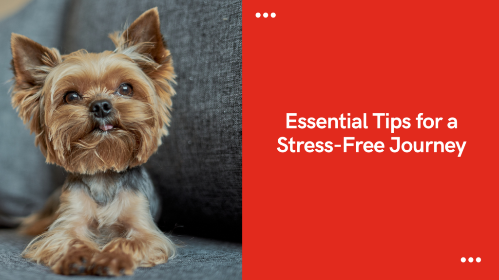 A Yorkshire Terrier sits on a gray sofa beside red text saying "Essential Tips for a Stress-Free Journey.