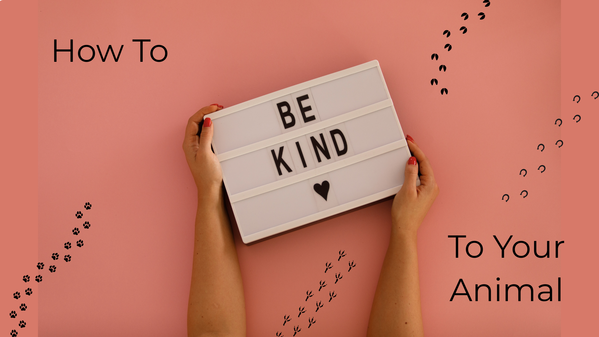 Hands holding a lightbox reading "Be Kind" with text "How To" and "To Your Animal" on a pink background.