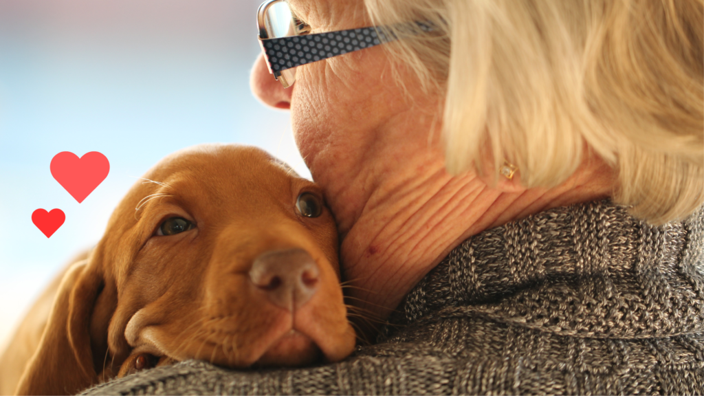 New puppy bonding with an owner with support from Mariemont Veterinary Clinic in Cincinnati, OH