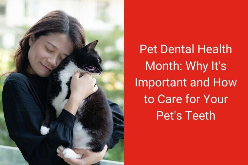 Woman lovingly hugging a black and white cat, with text about pet dental health month.