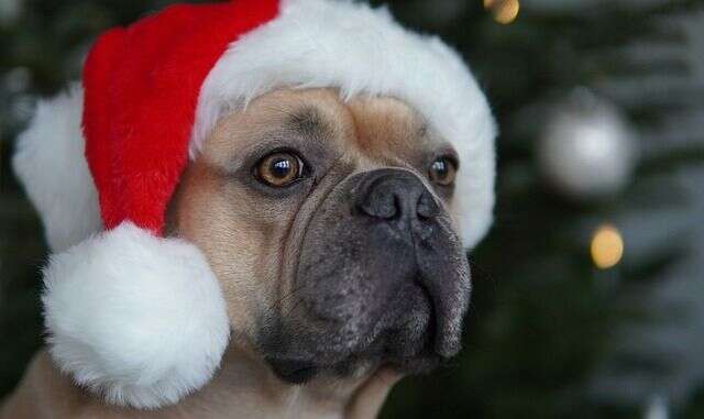 large_santa-claus large_santa-claus