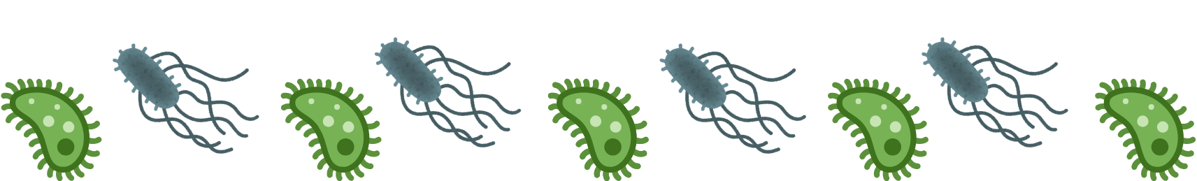 Pet parasites illustration