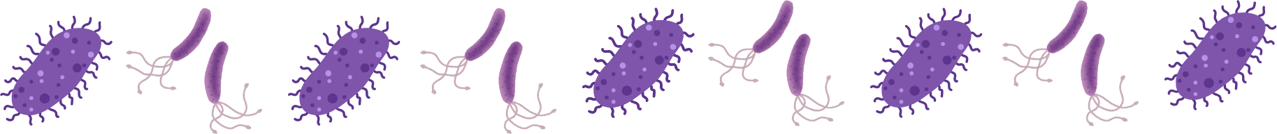 Pet parasites illustration