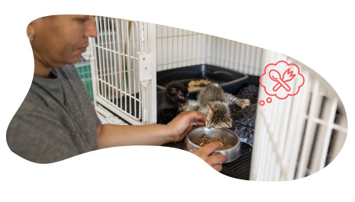 Person feeding two kittens in a cage with a thought bubble showing a leaf and bone icon.