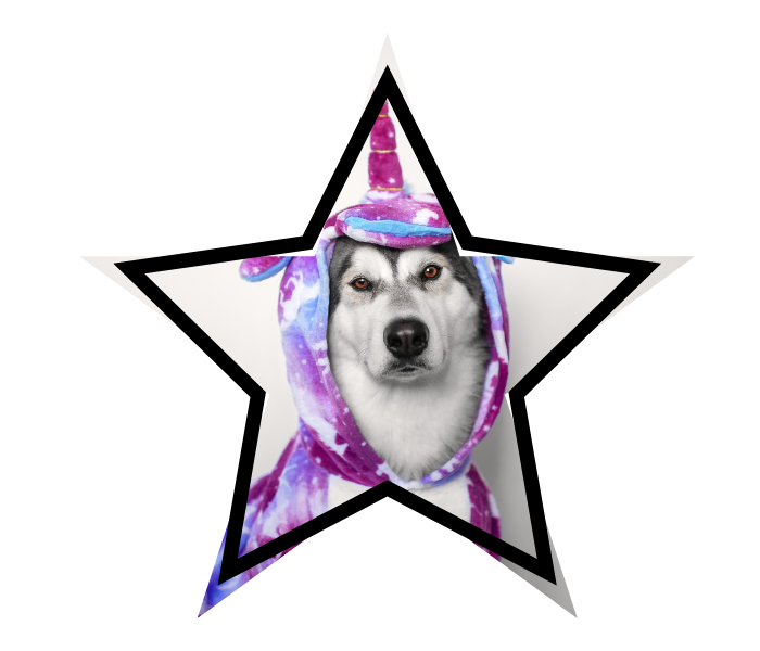 Dog wearing a purple galaxy unicorn costume inside a star-shaped frame.