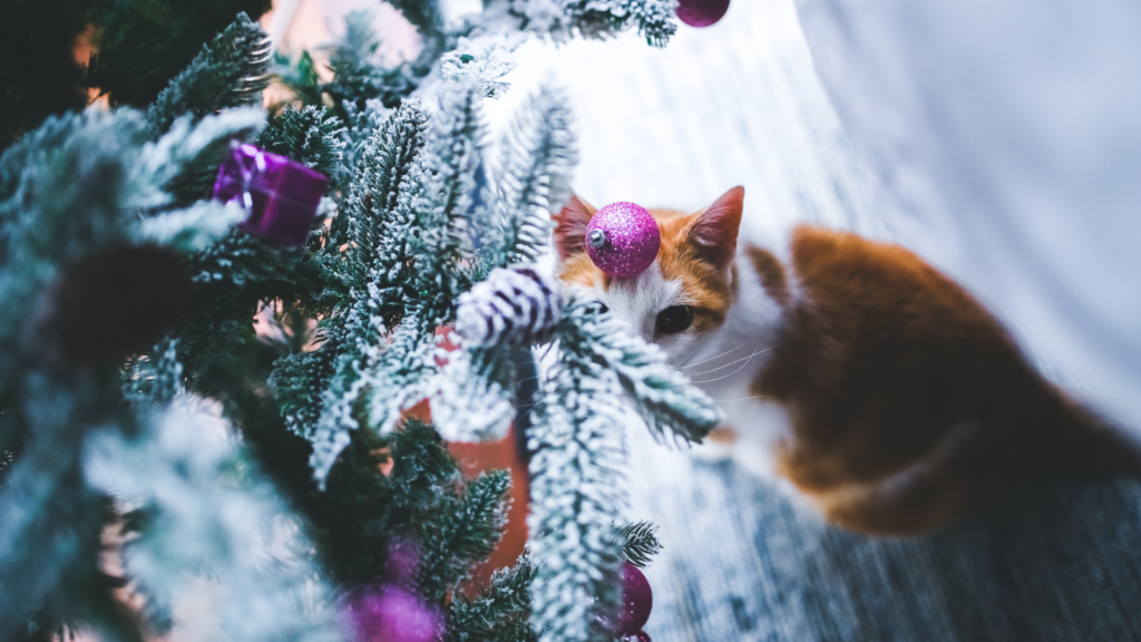 A cat curiously peers through snowy, purple-ornamented Christmas tree branches.