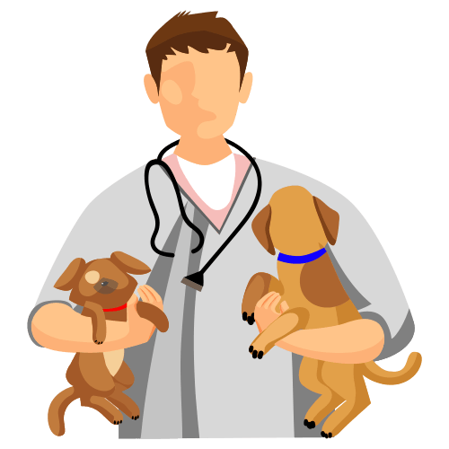 A person in a white coat holds two puppies, each wearing a collar, with a stethoscope around their neck.